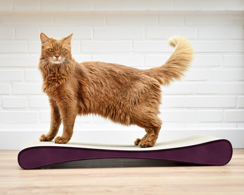 violett (070) - Bild 1