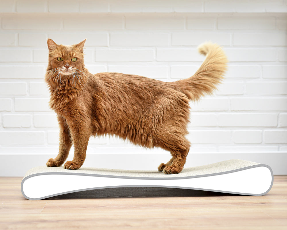 weiß, grauer Rand (000d) - Bild 2