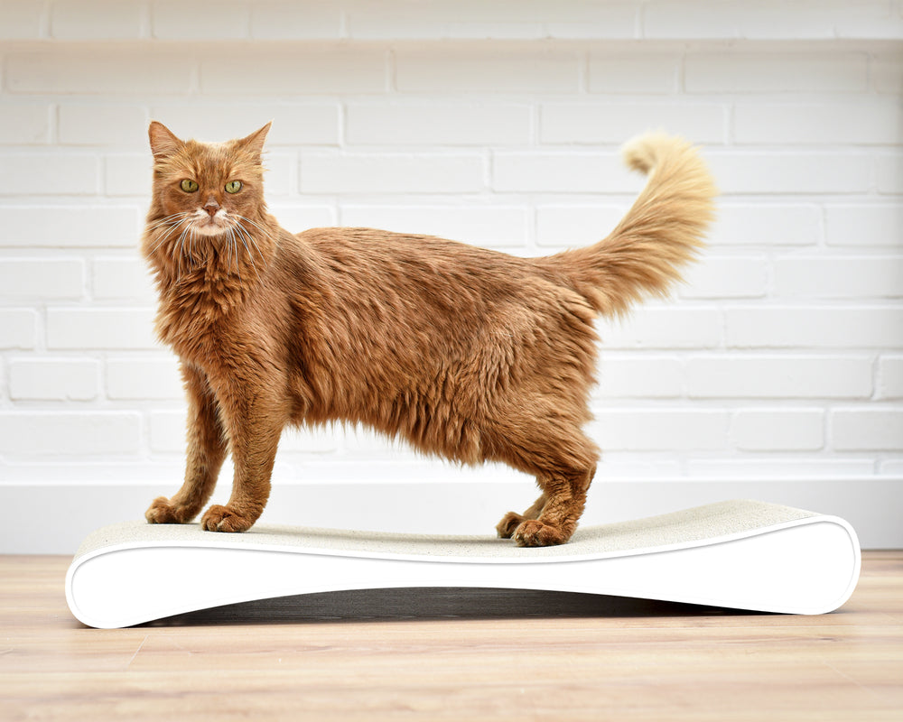 weiß mit Rand (000) - Bild 2