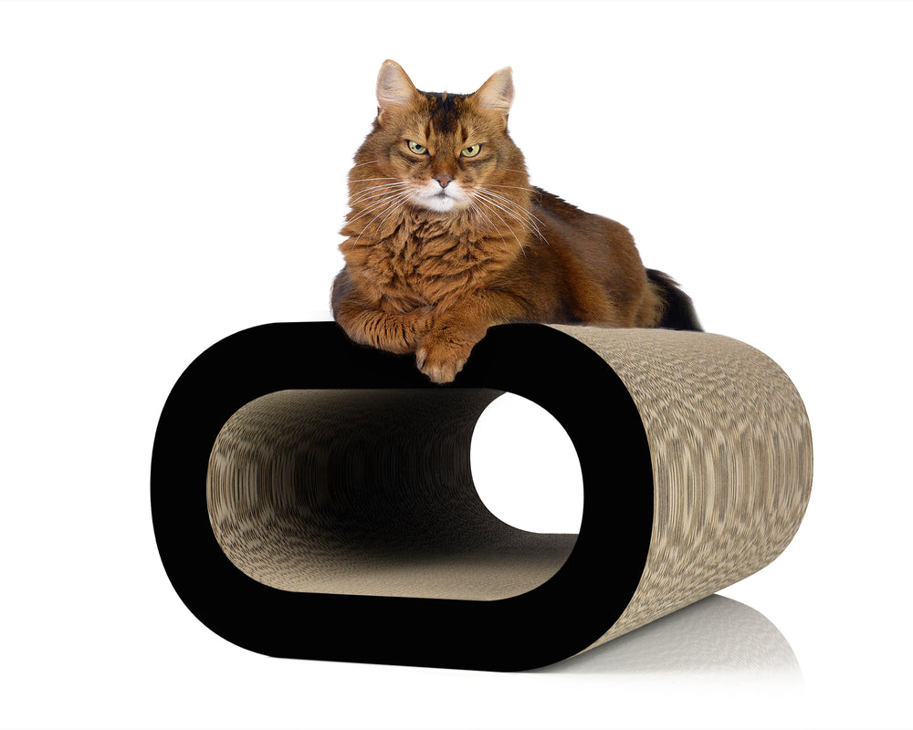 schwarz matt (013x) - Bild 2