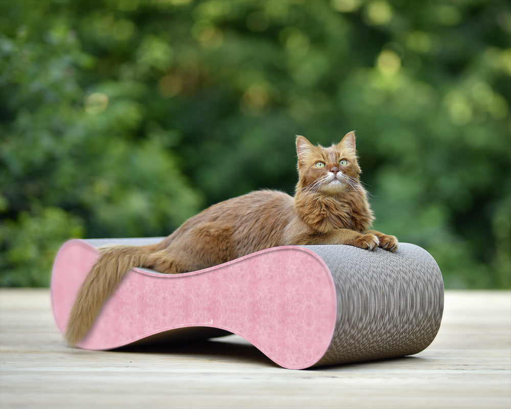 hellrosa (205) - Bild 1