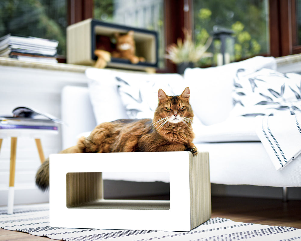 weiß,  gestrichen (000x) - Bild 1