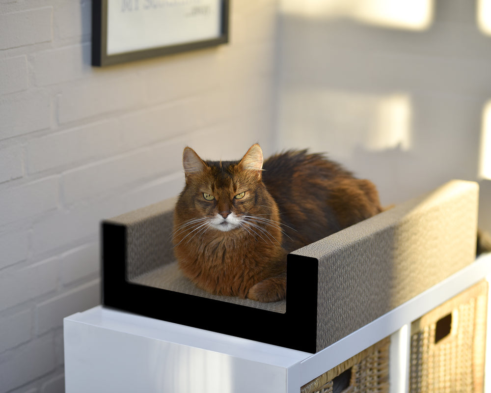 schwarz matt (013x) - Bild 1