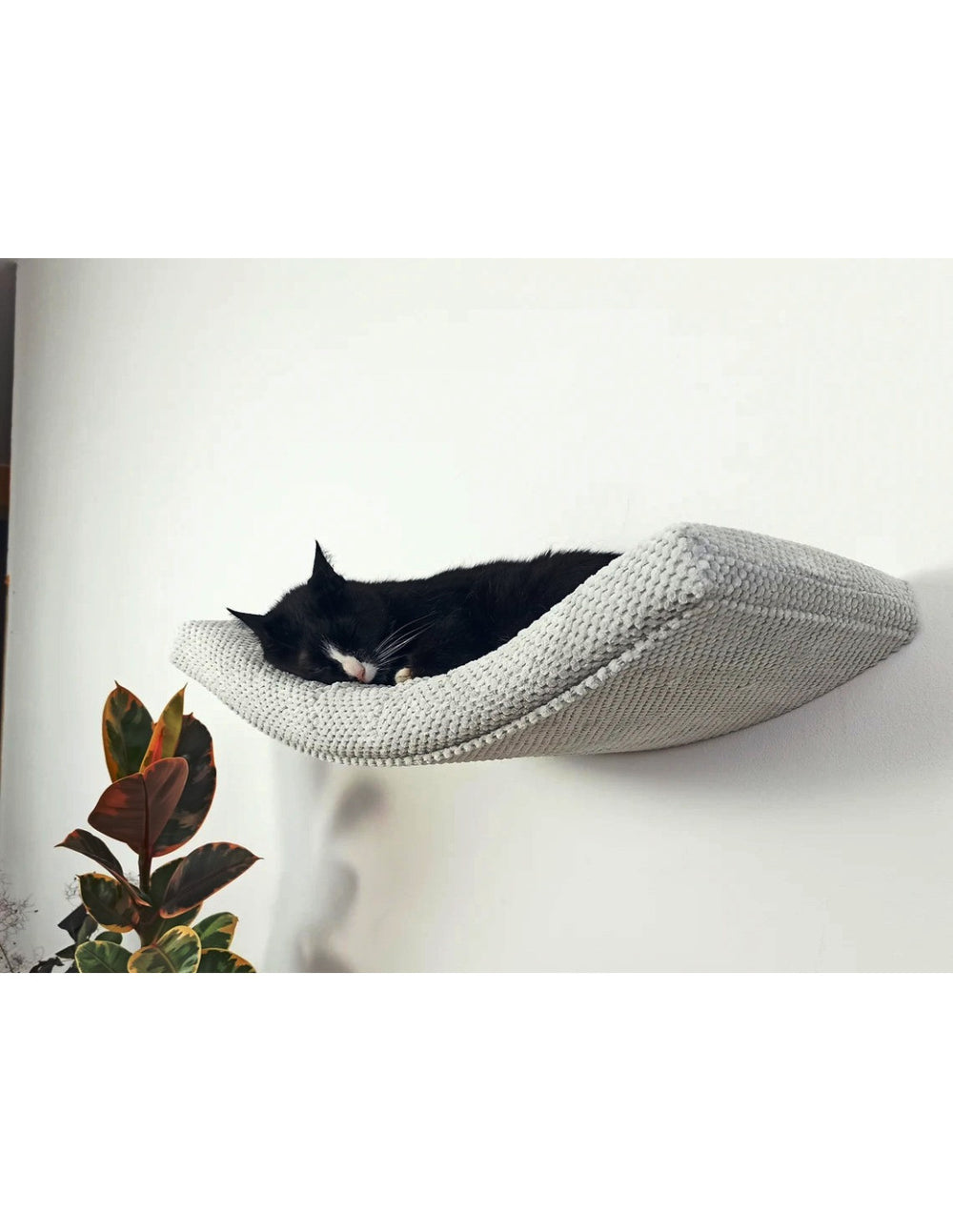 Cat Shelf – The Arcing Haven | catsatelier-image-309