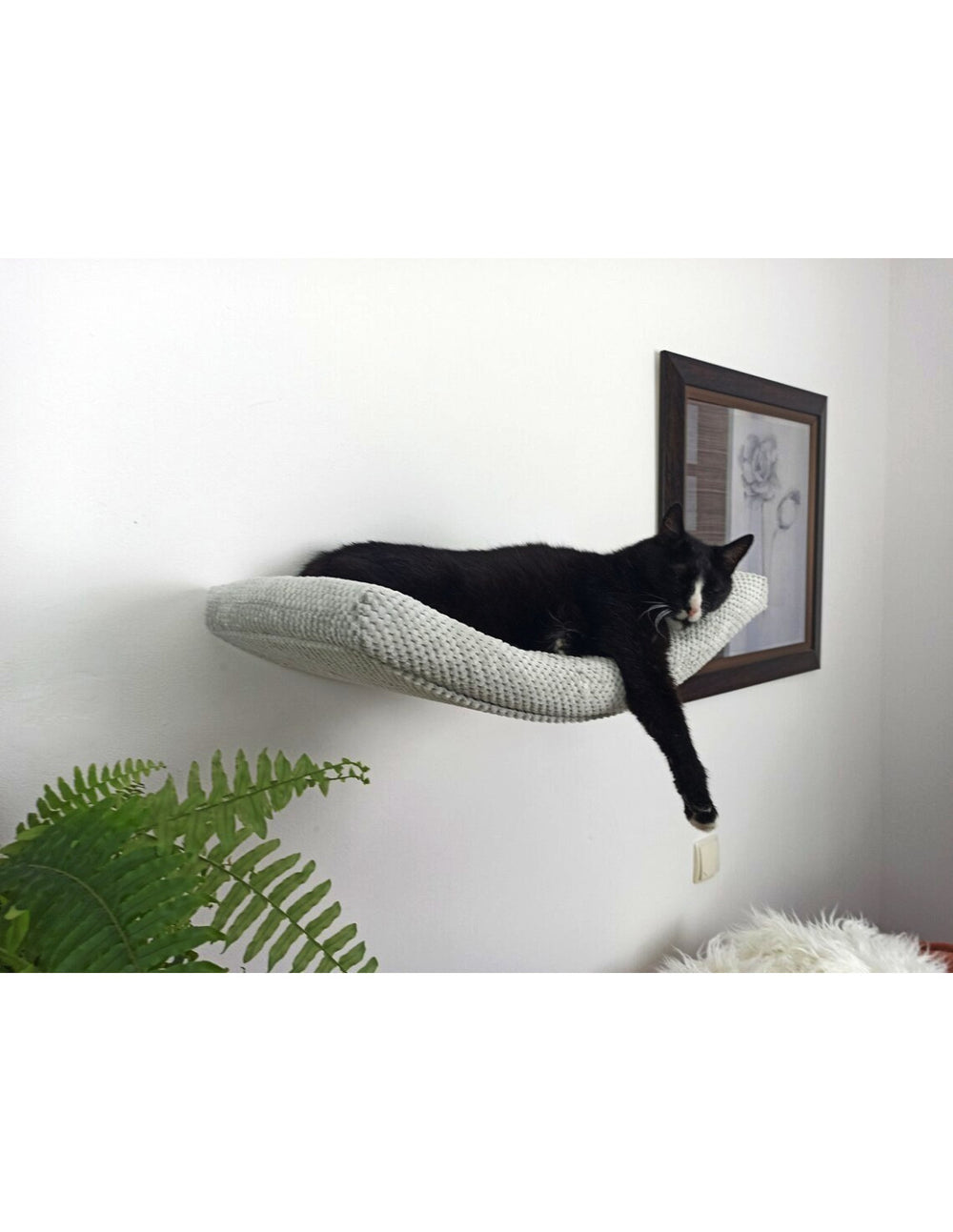 Cat Shelf – The Arcing Haven | catsatelier-image-310