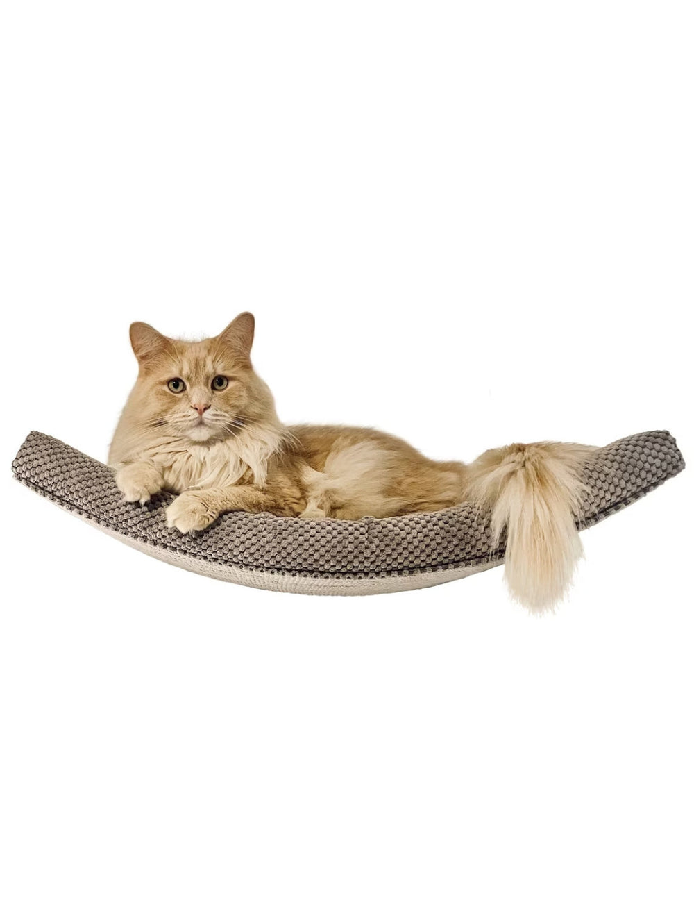 Cat Shelf – The Arcing Haven | catsatelier-image-302