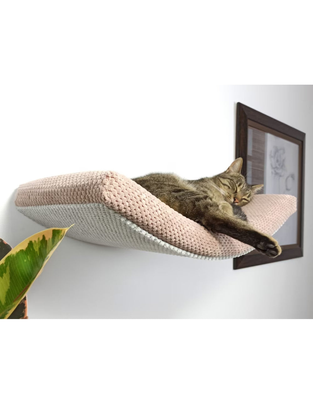 Cat Shelf – The Arcing Haven | catsatelier-image-305