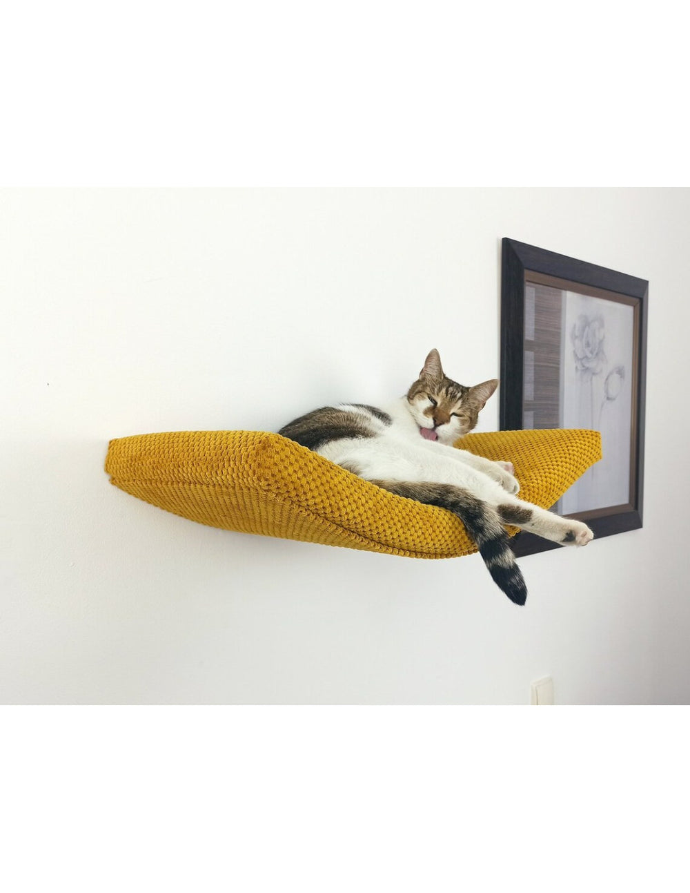 Cat Shelf – The Arcing Haven | catsatelier-image-314