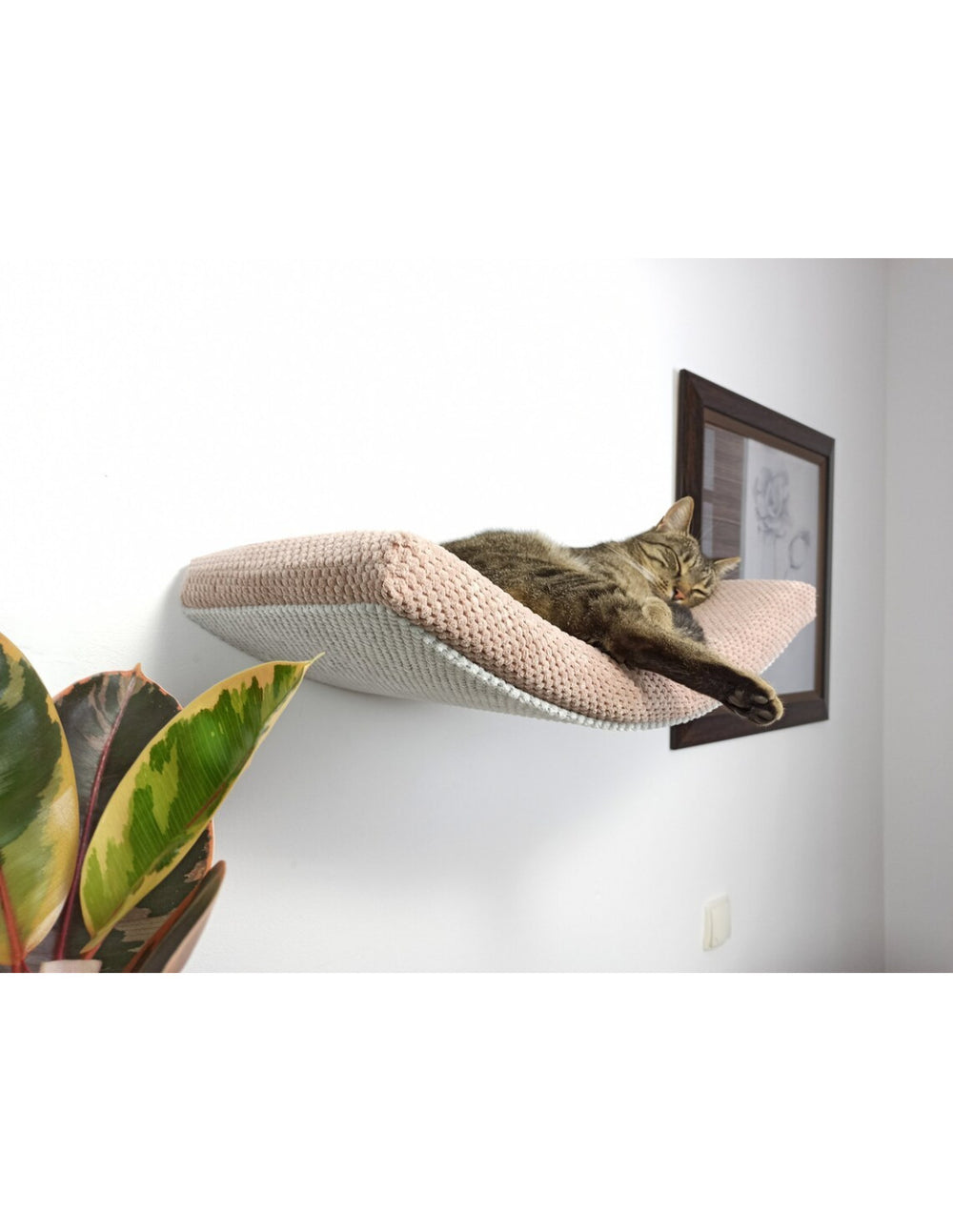 Cat Shelf – The Arcing Haven | catsatelier-image-308