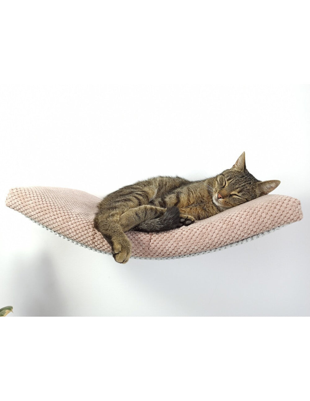 Cat Shelf – The Arcing Haven | catsatelier-image-311
