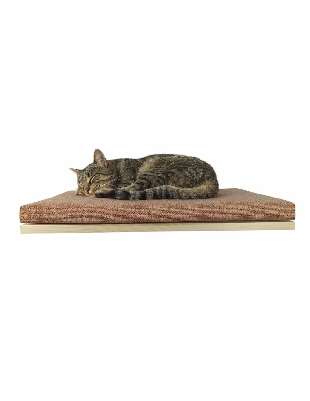 Cat Shelf – The Cozy Nook | catsatelier-image-258