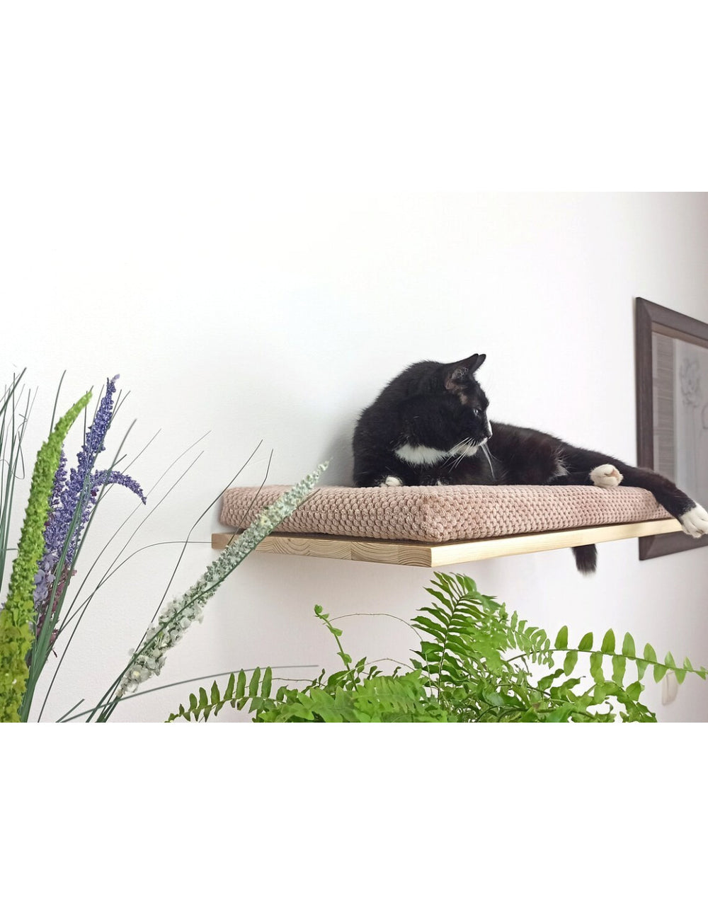 Cat Shelf – The Cozy Nook | catsatelier-image-255