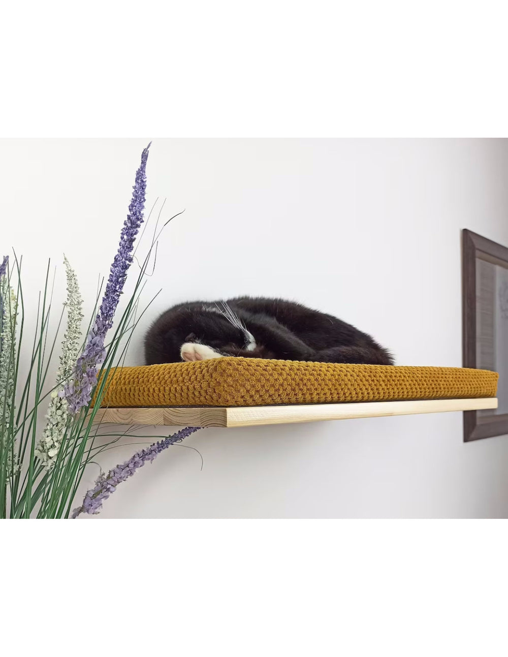 Cat Shelf – The Cozy Nook 75 cm | catsatelier-image-275