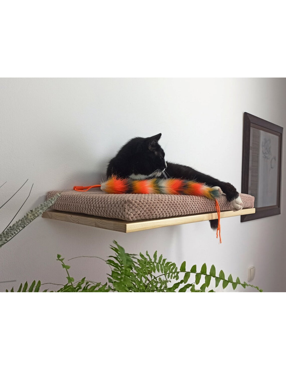 Cat Shelf – The Cozy Nook 75 cm | catsatelier-image-277