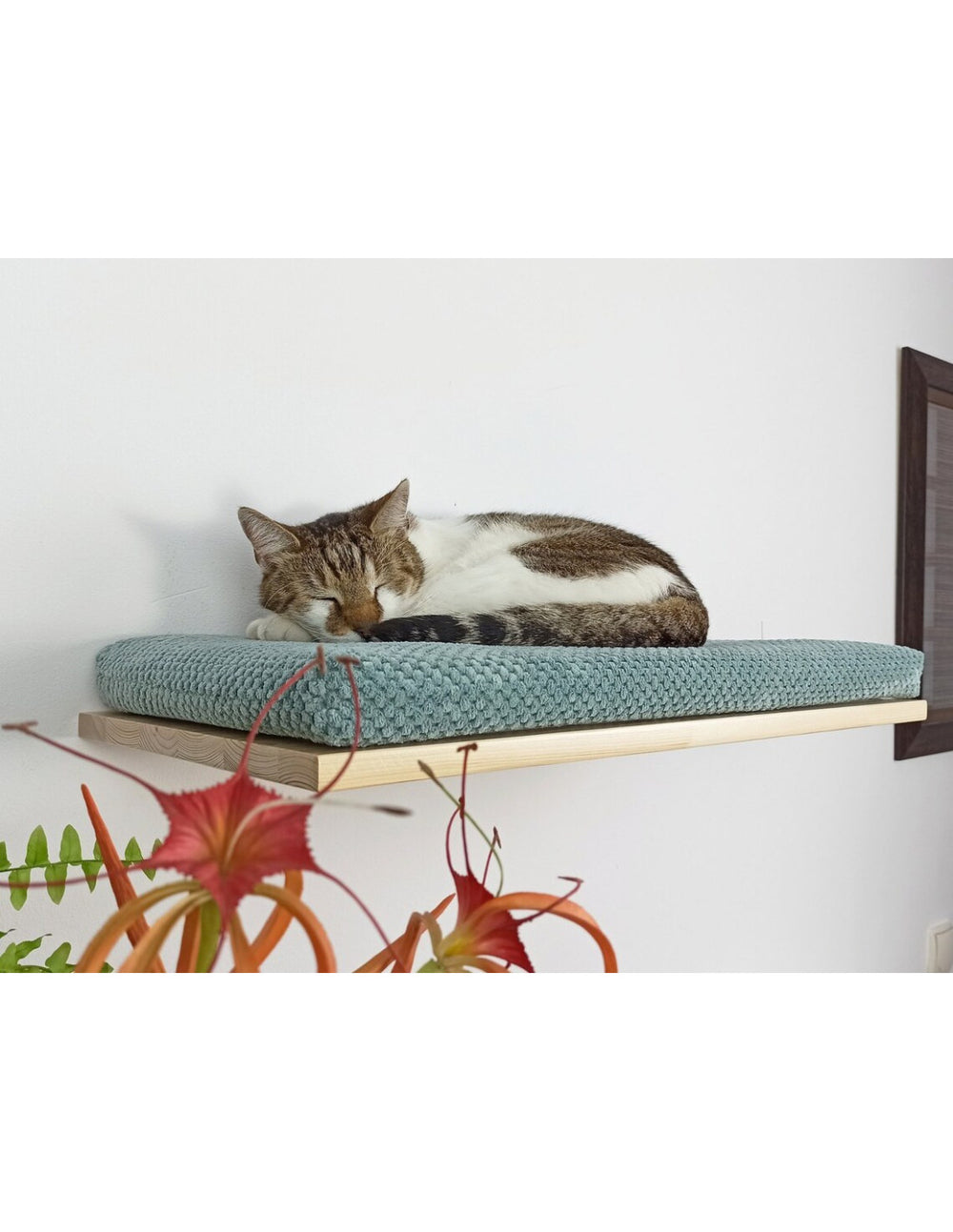 Cat Shelf – The Cozy Nook 75 cm | catsatelier-image-274