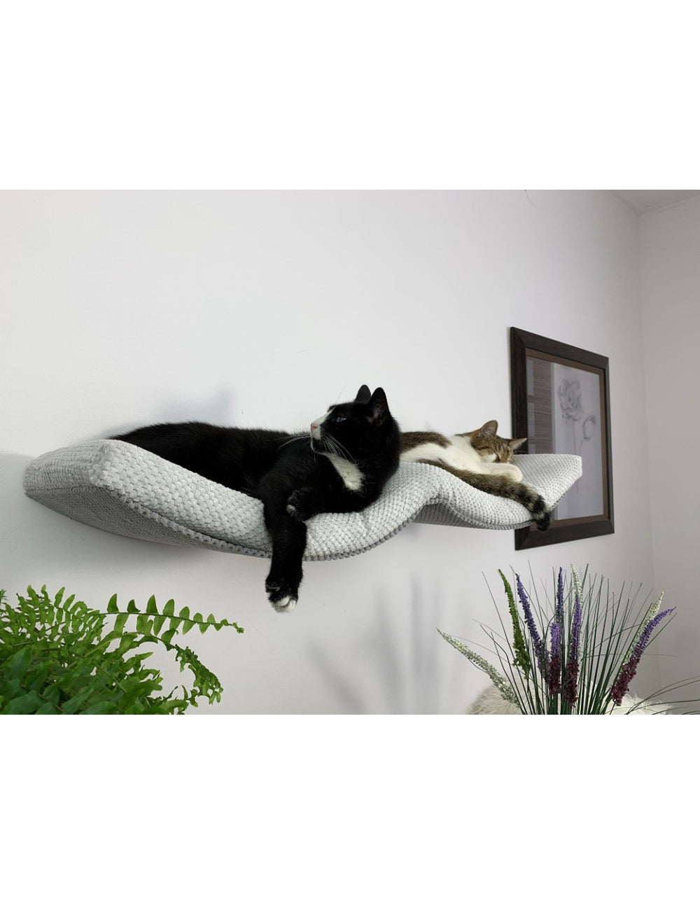Cat Shelf – The Double Arch Haven | catsatelier-image-38
