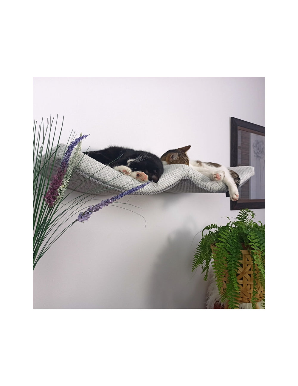 Cat Shelf – The Double Arch Haven | catsatelier-image-40