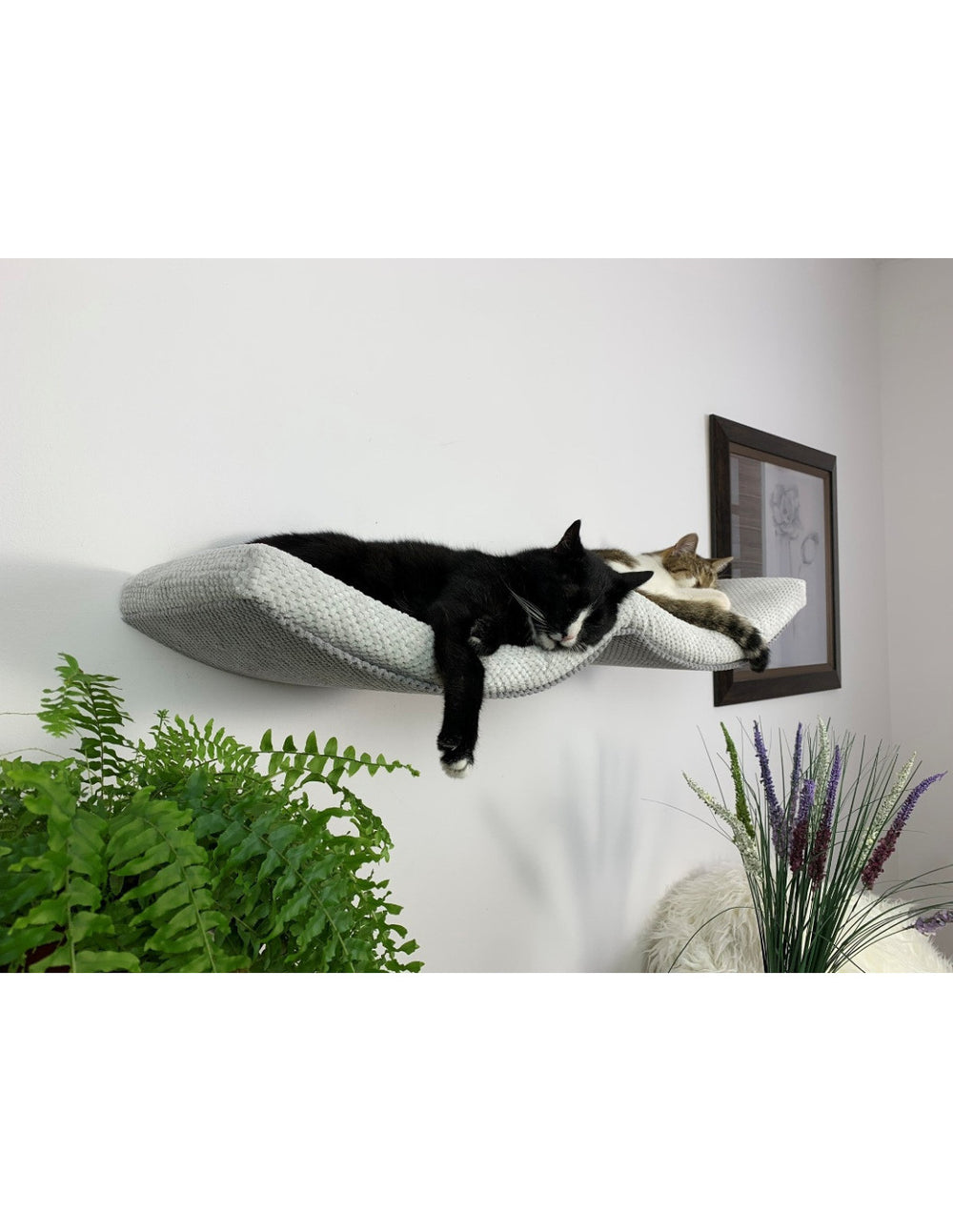 Cat Shelf – The Double Arch Haven | catsatelier-image-36