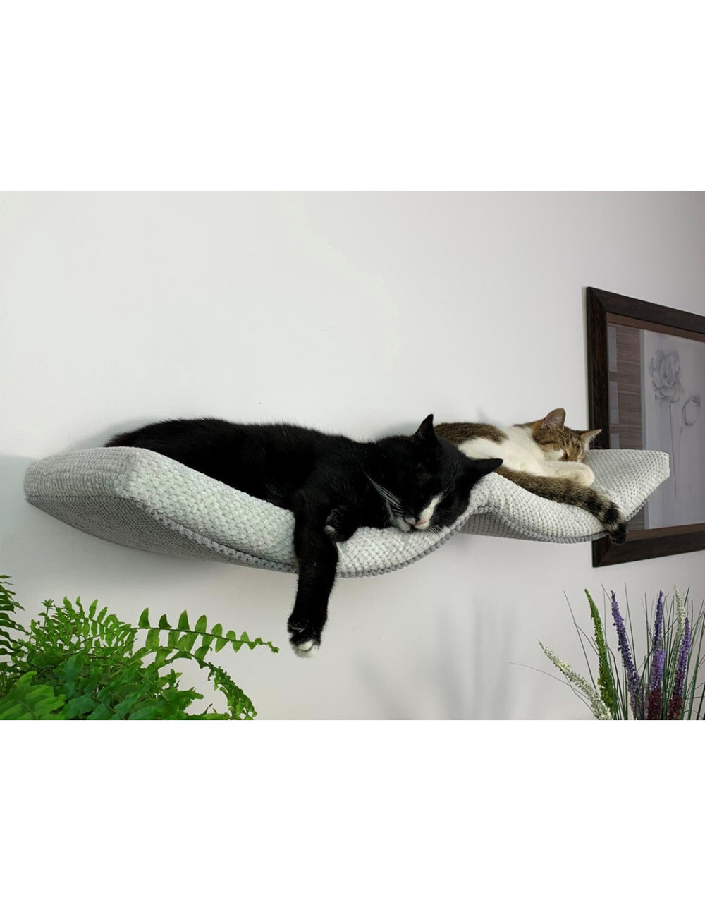 Cat Shelf – The Double Arch Haven | catsatelier-image-37