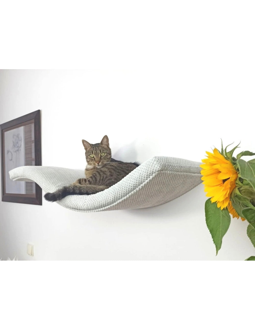 Cat Shelf – The Playful Curve | catsatelier-image-207