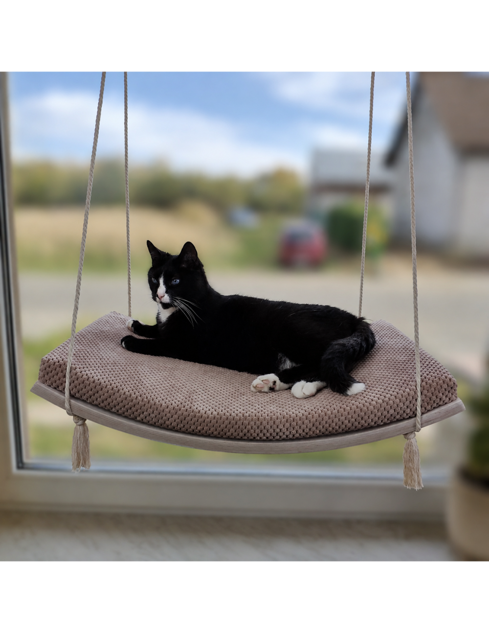 Schwingende Fensterliege aus Holz für Katzen mit entspannter schwarzer Katze, im Hintergrund unscharfe Natur.