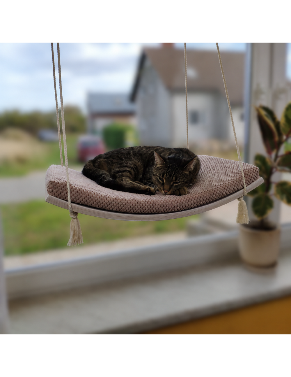 Hängende Katzenliege Arcing View aus Holz, oval, gepolstert, sanfte Farben, ideal für entspannte Katzen am Fenster.
