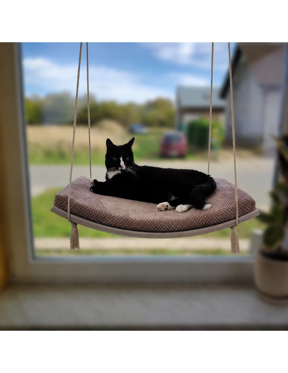 Schwarze Katze entspannt auf Fensterliege, Blick auf die Landschaft mit Bäumen und Auto im Hintergrund.
