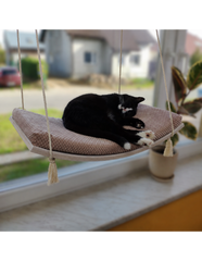 Schwarze Katze liegt entspannt auf der Arcing View Katzenliege in einem hellen Raum mit Fenstern und Pflanzen.