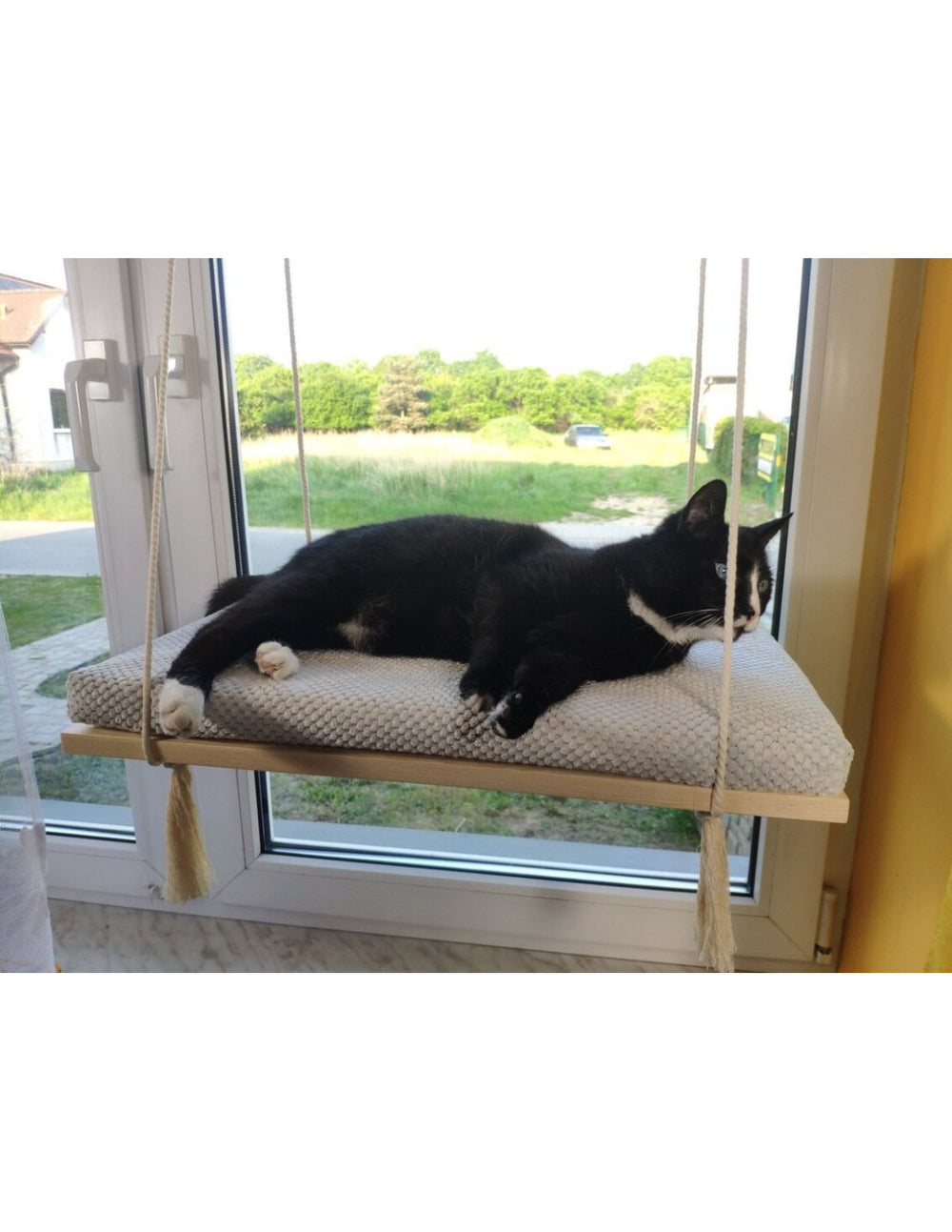 Cat Window Shelf – The Sunny Spot | catsatelier-image-283