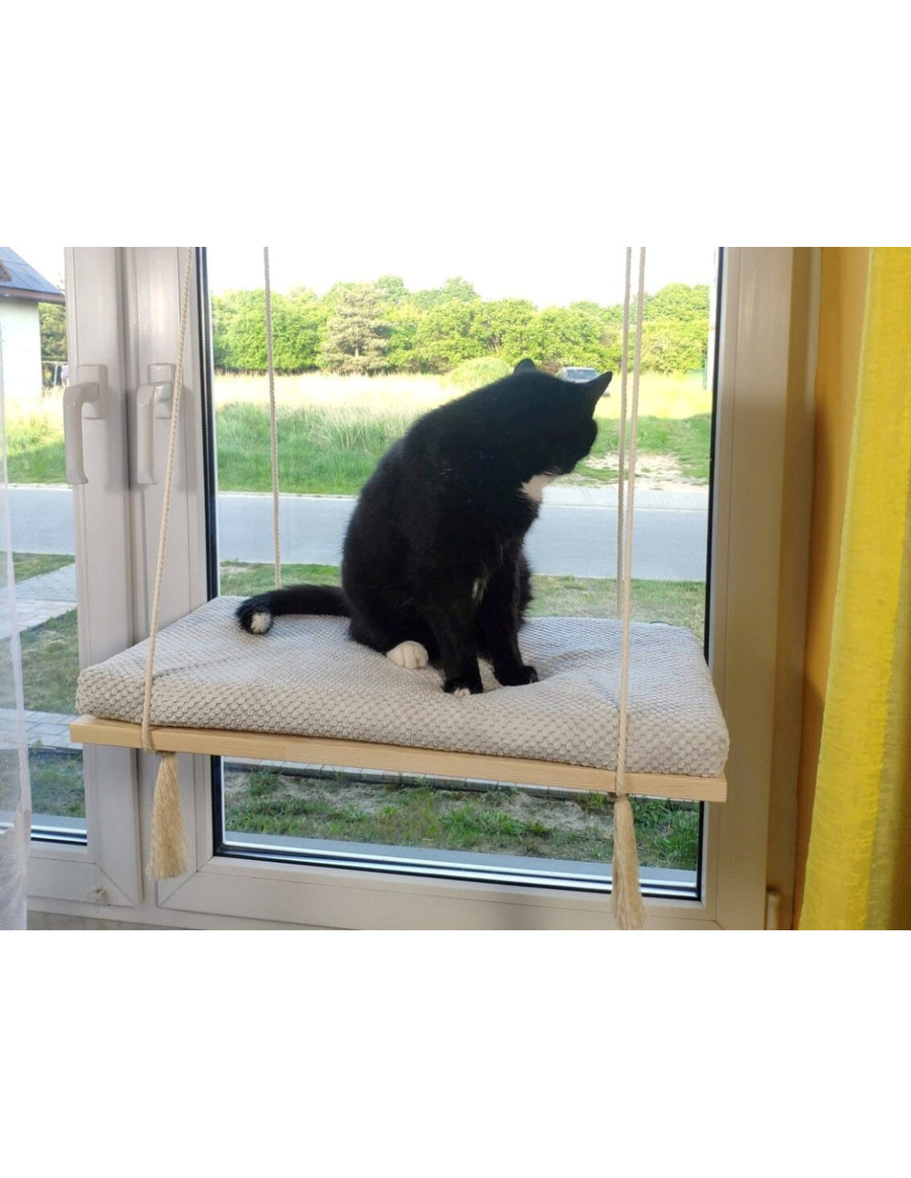 Cat Window Shelf – The Sunny Spot | catsatelier-image-284