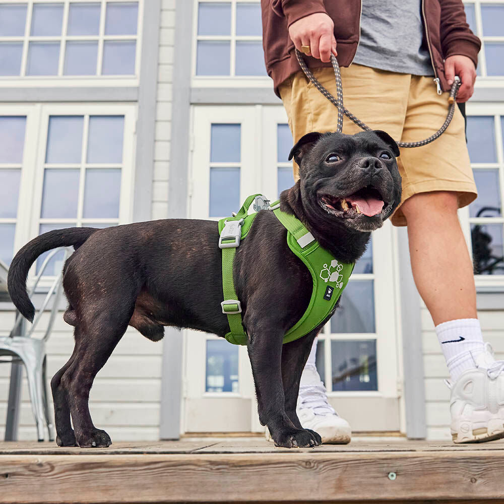 Hundegeschirr Weekend Warrior Harness II – zusätzliche Produktansicht 11