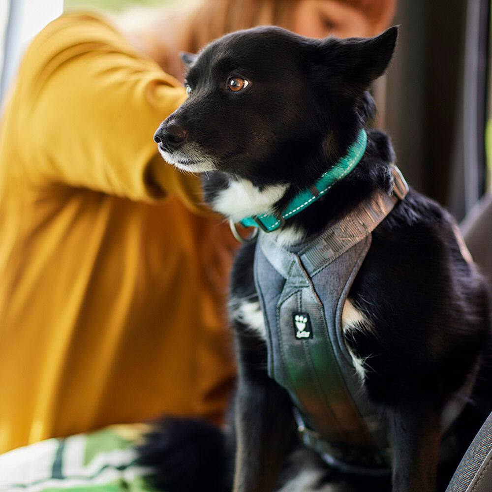 Autogeschirr Travel Harness ECO – zusätzliche Produktansicht 4