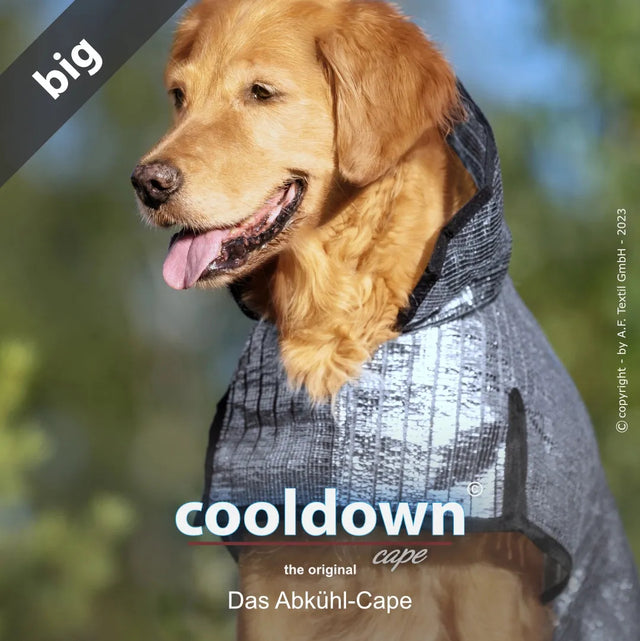 Cooldown cape big
