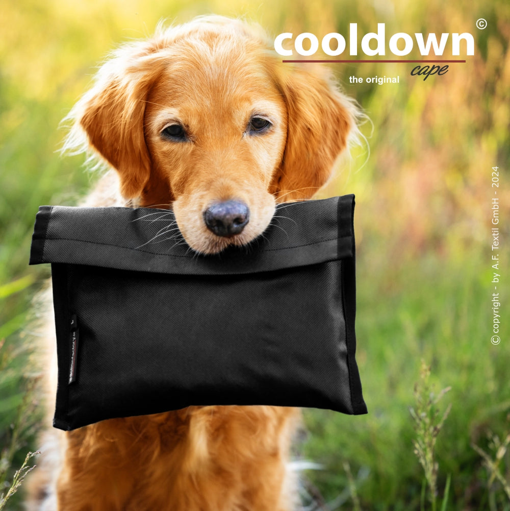 Hund mit goldenem Fell hält schwarzes Cape auf grüner Wiese. Der Text "cooldown cape" ist sichtbar.