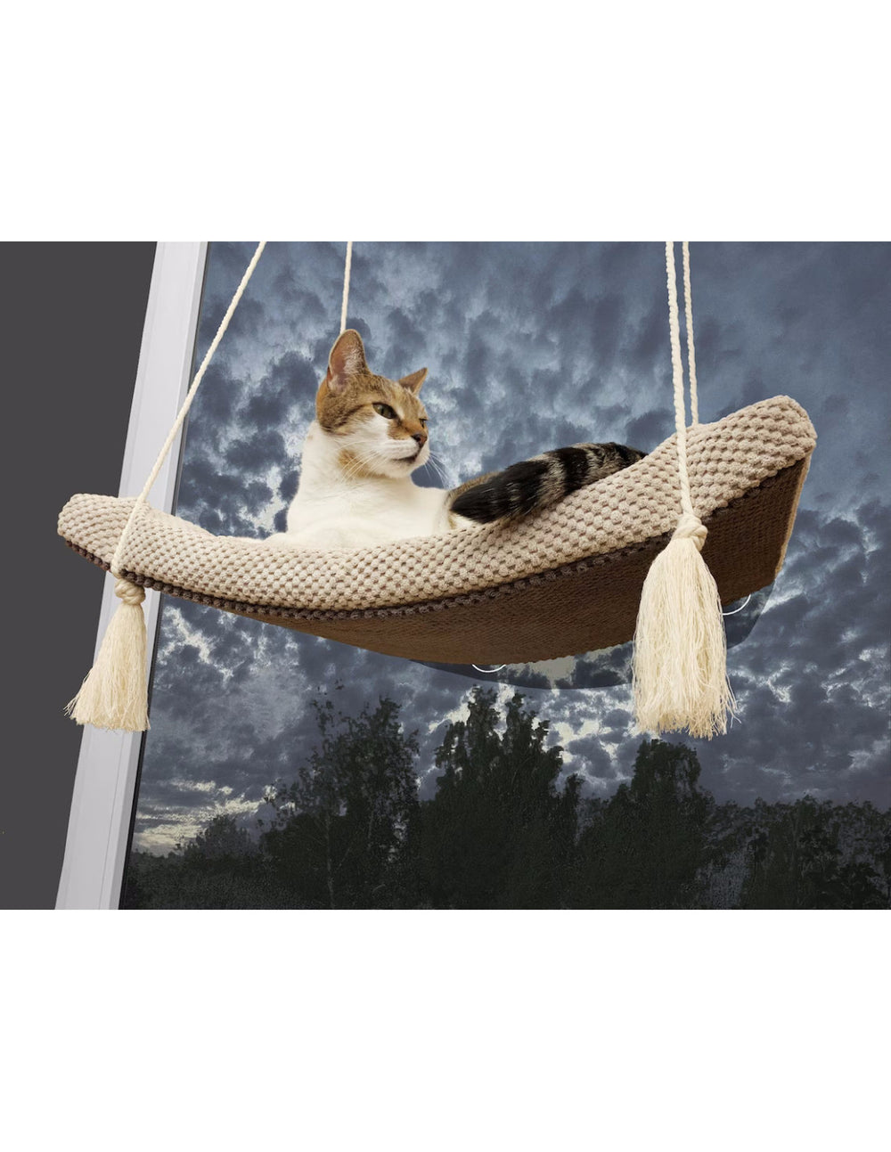 Cat Window Shelf – The Arcing View 60 cm | catsatelier-image-524