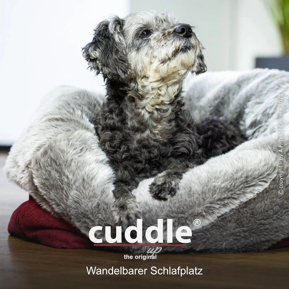Entspannter kleiner grauer Hund in weichem, grauen Hundebett mit roter Außenkante. Cuddle.up® - wandelbarer Liegeplatz.