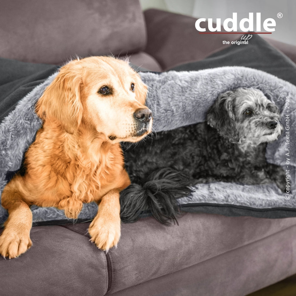 Zwei Hunde, ein Golden Retriever und ein schwarzer Hund, liegen gemütlich in einer grauen Decke auf einer grauen Couch.