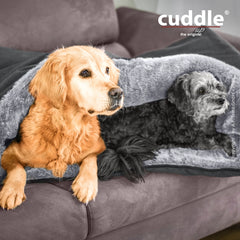 Zwei Hunde, ein Golden Retriever und ein schwarzer Hund, liegen gemütlich in einer grauen Decke auf einer grauen Couch.