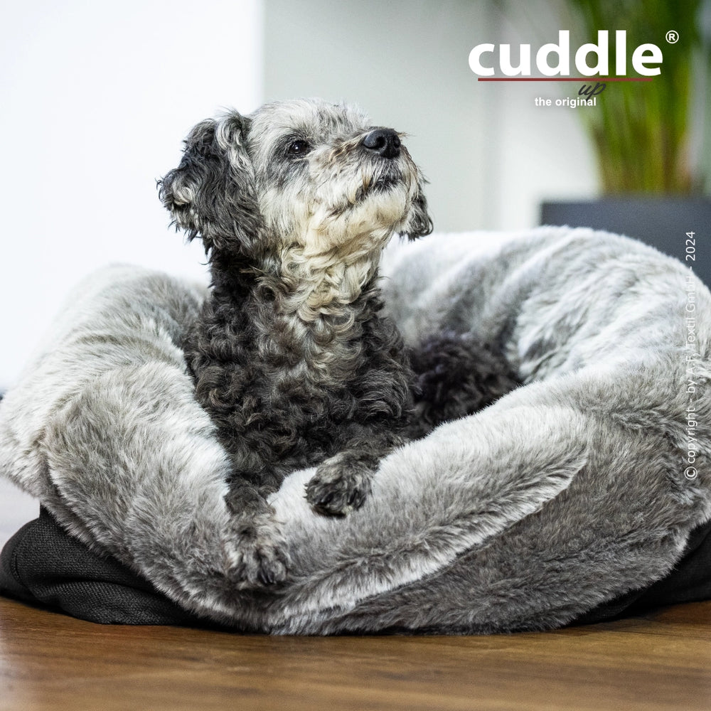 Kleiner Hund sitzt in einem grauen, gepolsterten Hundebett von cuddle.up®, das gemütlich und wandelbar ist.