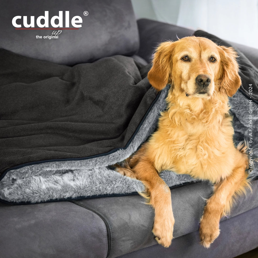 Golden Retriever entspannt auf einem Sofa, eingekuschelt in eine wendige Hundedecke von cuddle.up®.