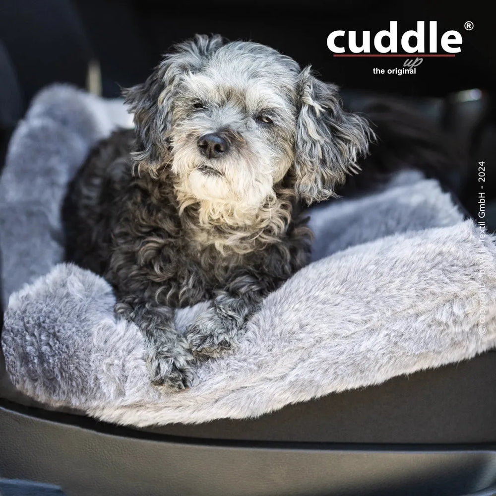 Grau-schwarzer Hund auf grauer Hundedecke im Auto, komfortabler Liegeplatz für Hunde unterwegs.