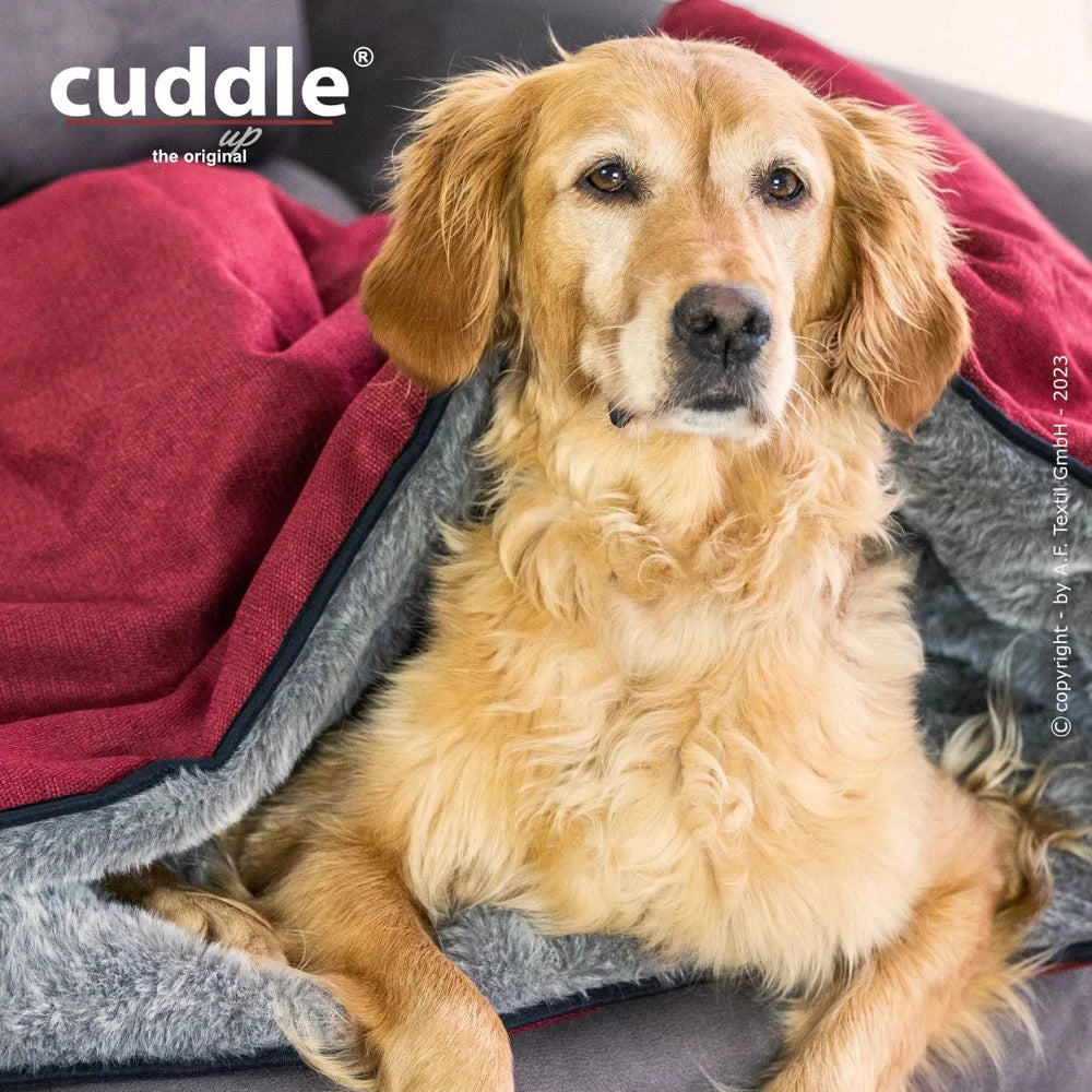 Golden Retriever entspannt auf Cuddle.up® Hundeliegeplatz mit roter Decke und grauem Innenfutter, gemütlich auf Sofa.