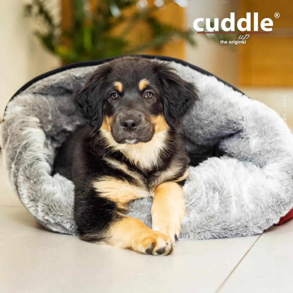 Schwarzer Welpe mit braunen Abzeichen entspannt in grauem, weichem Hundebett von Cuddle.up®.