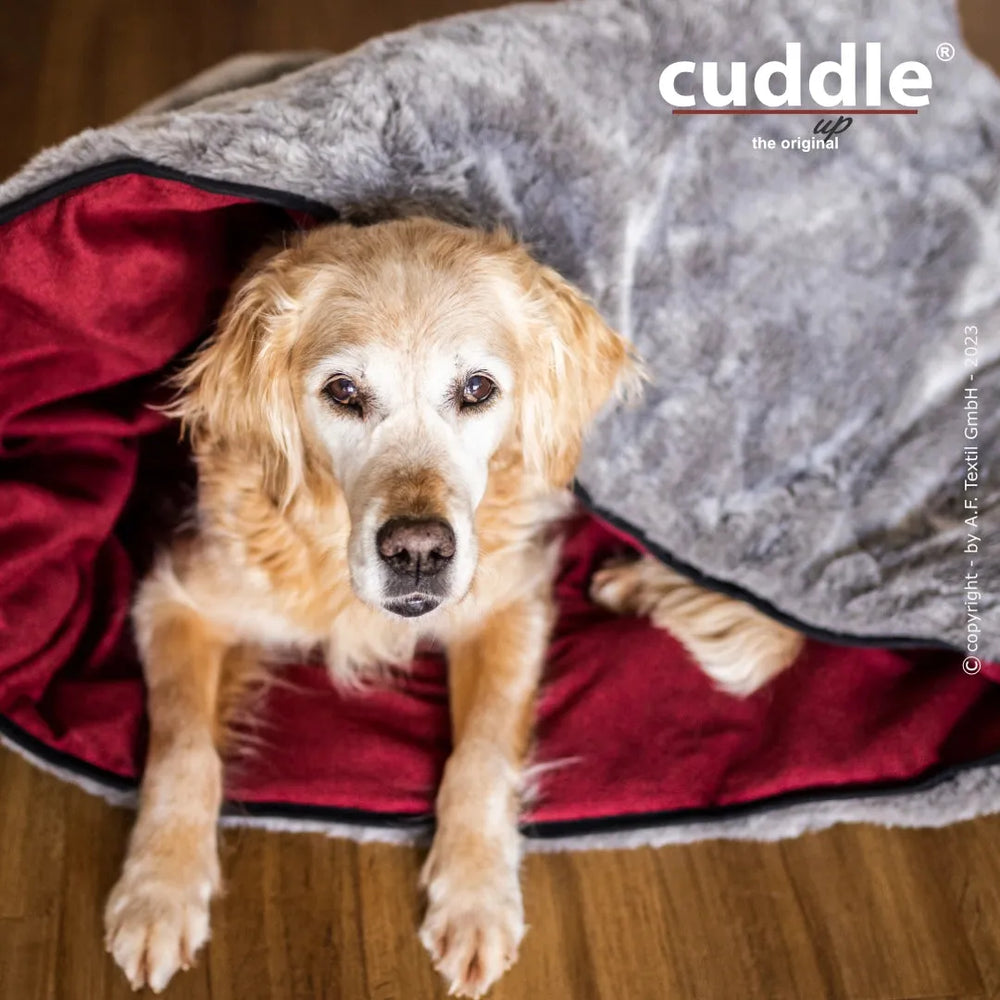 Älterer Hund eingewickelt in graue Decke mit rotem Innenfutter, glücklich und entspannt auf dem Cuddle.up® Hundeliegeplatz.