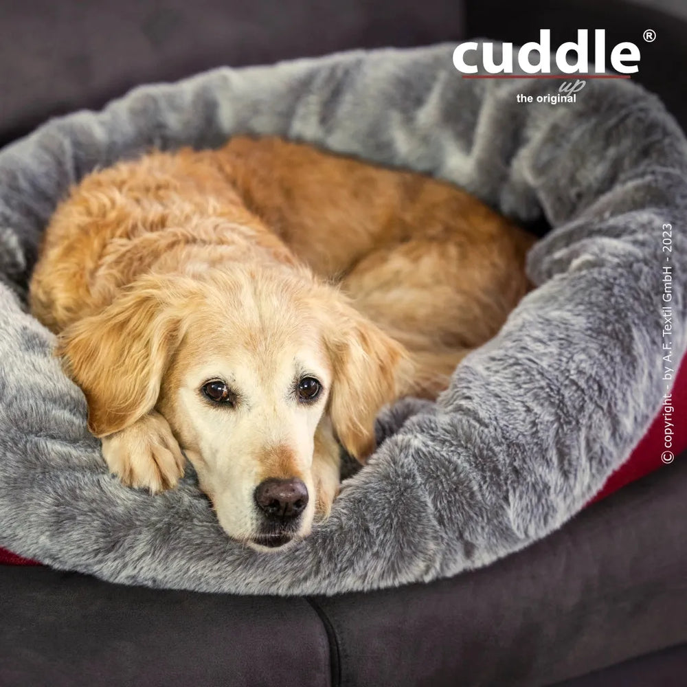 Ein entspannter goldenfarbener Hund liegt in einem runden, grauen und roten Hundebett.