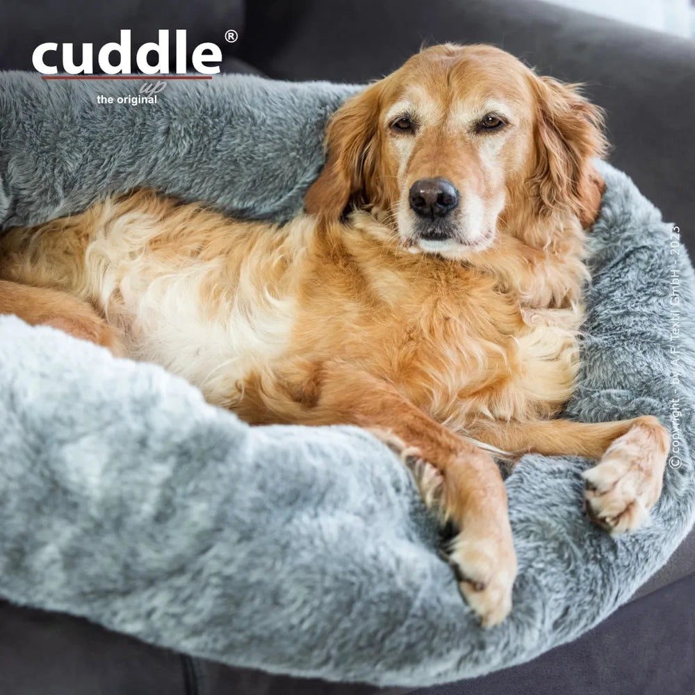 Goldenfarbener Hund entspannt auf runden, grauen Kissen von Cuddle.up® und sieht zufrieden aus.
