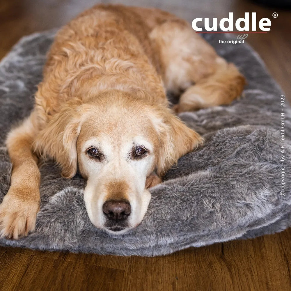 Älterer goldener Retriever entspannt auf grauem Hundebett von Cuddle.up® und schaut direkt in die Kamera.