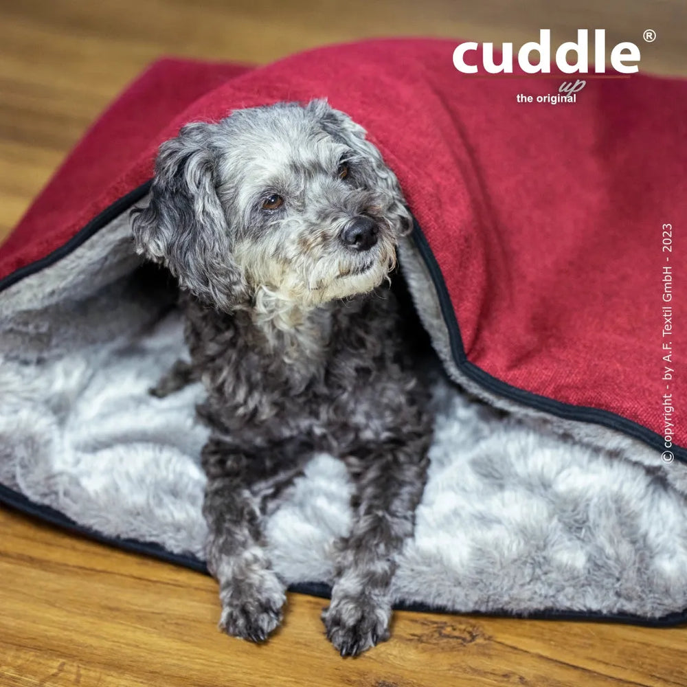 Entspannter Hund in roter Decke mit grauem Innenfutter, perfekt für den Cuddle.up® Hundeliegeplatz.