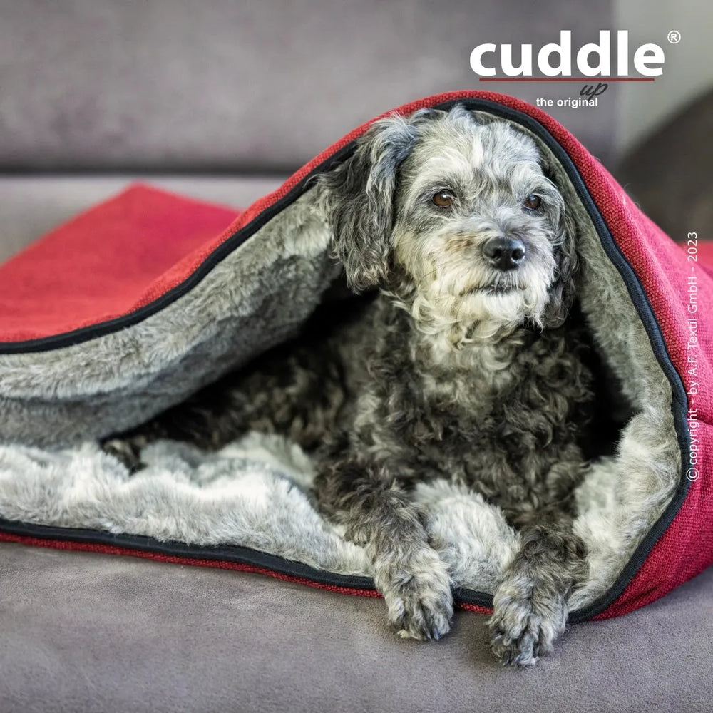Grau-weißer Hund liegt gemütlich in roter Decke mit grauer Innenseite auf Cuddle.up® Hundeliegeplatz.