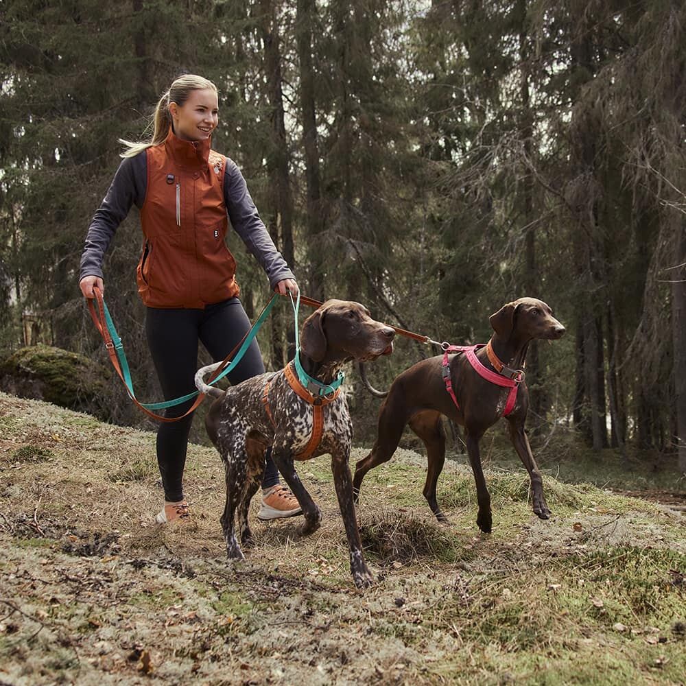 Hundeleine Casual reflective leash ECO – zusätzliche Produktansicht 3